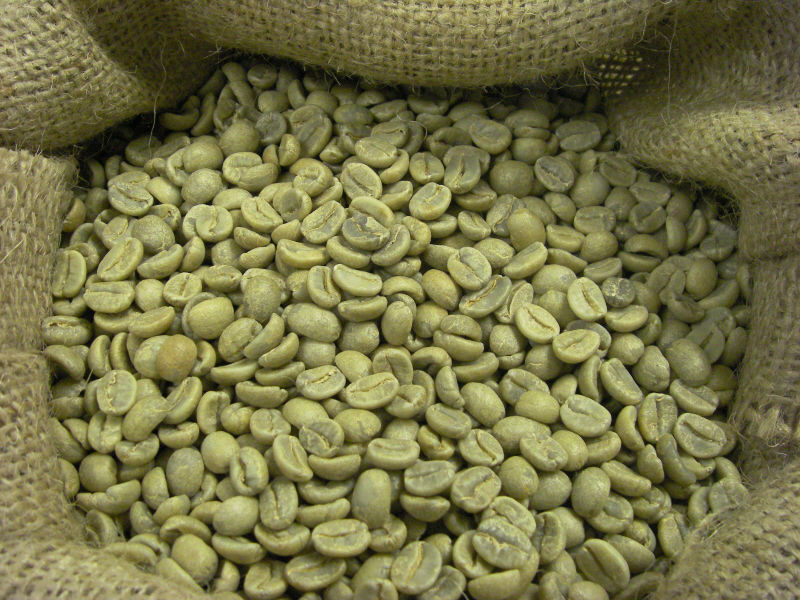 Cà phê chè - Arabica