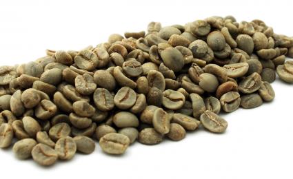 Arabica - Bourbon
